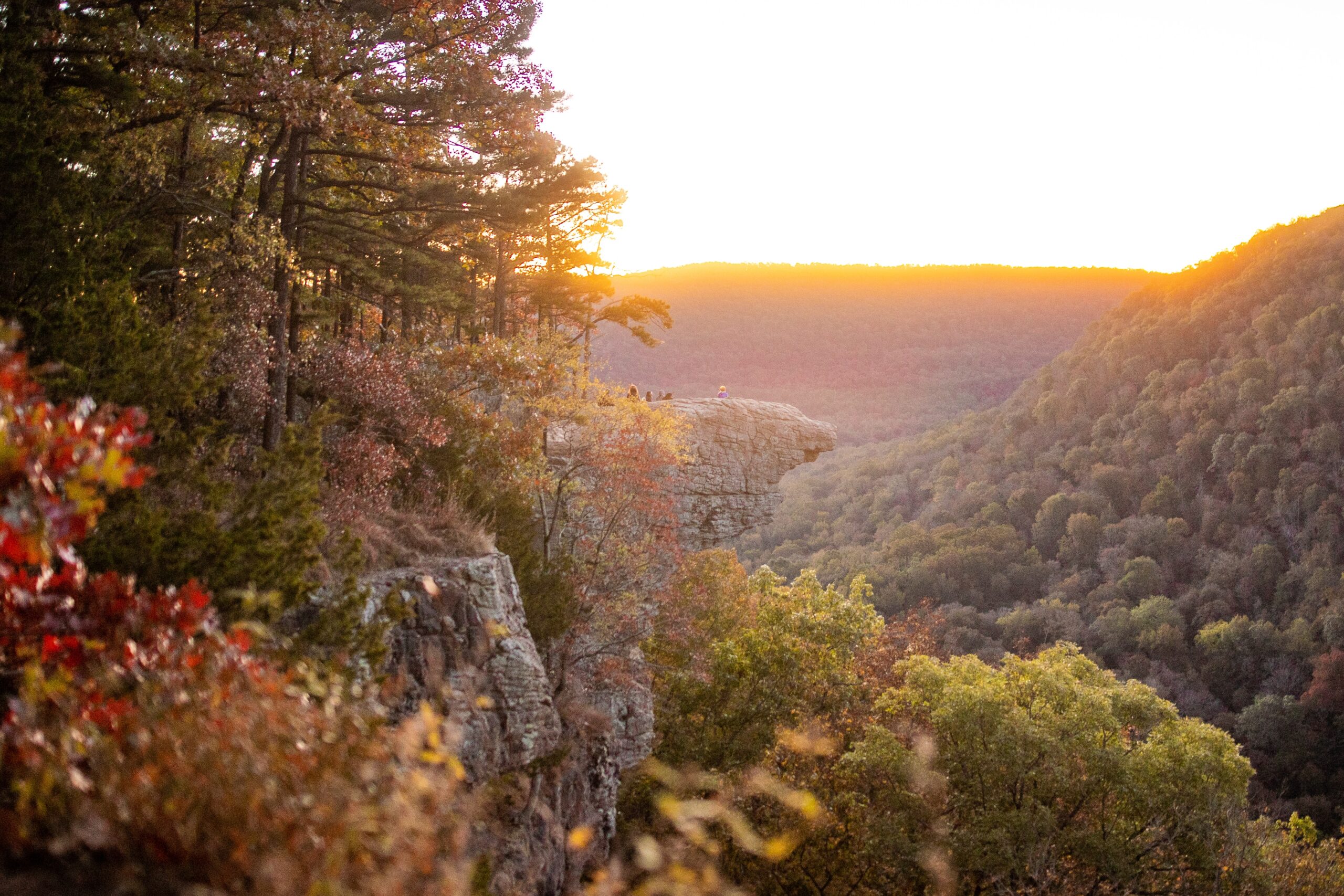 Exploring the “Natural State” of Arkansas